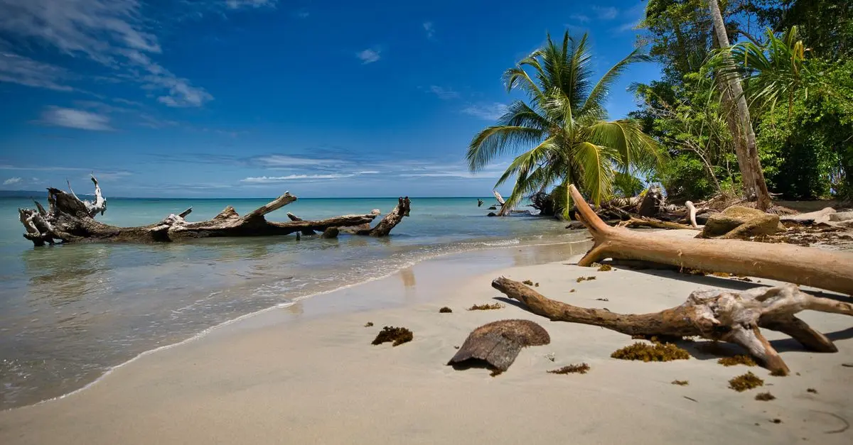 Pourquoi Opter pour un Voyage en Caraïbes Écoresponsable