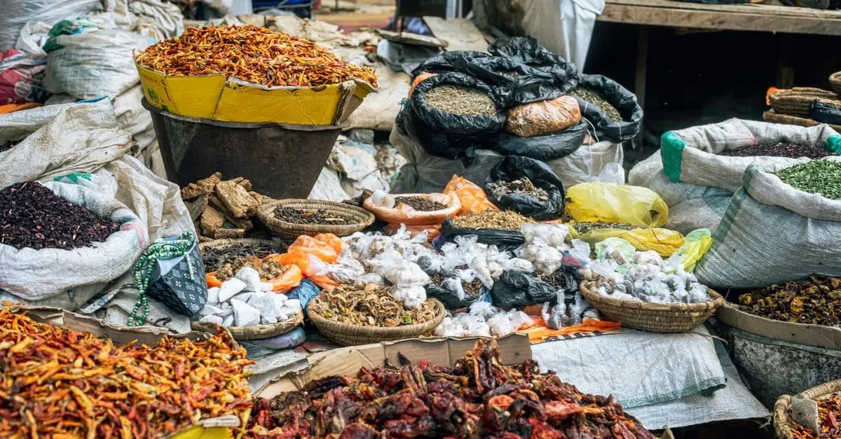 Voyage Culinaire : Dégustez le Monde à Travers le Goût
