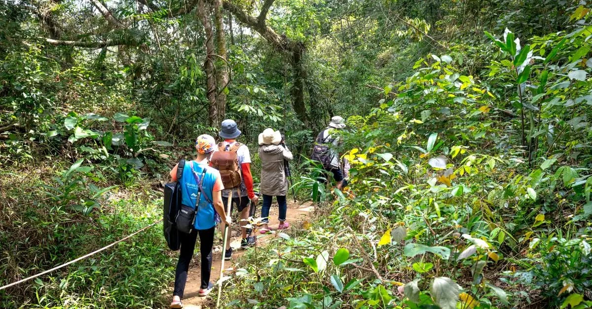 Les Meilleures Activités Écoresponsables en Voyage