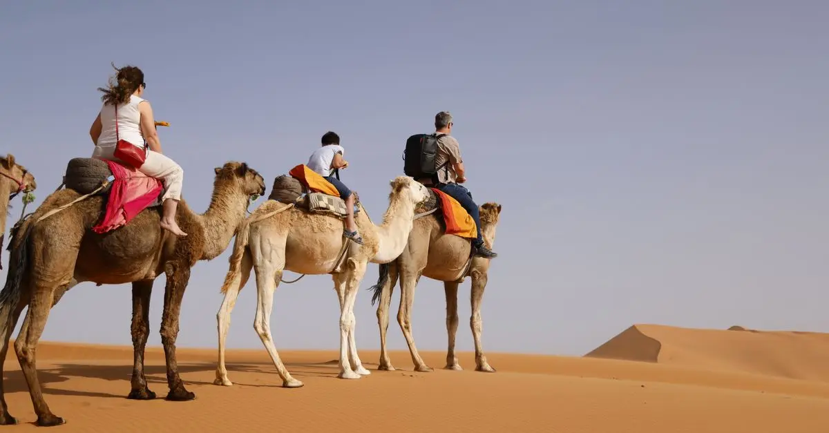 Les Expériences de Voyage Uniques à Vivre Absolument