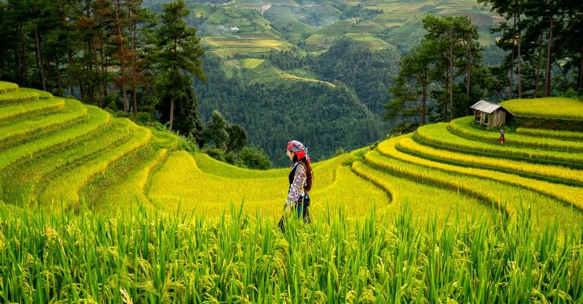 Comment Découvrir des Destinations Uniques lors de Vos Voyages