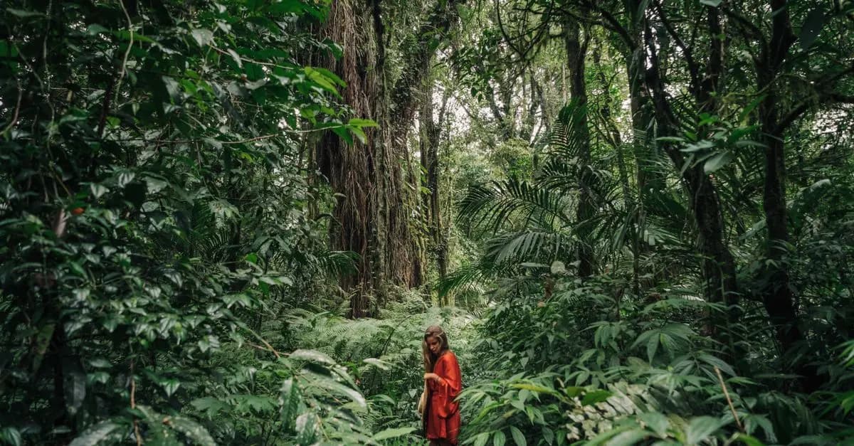 Explorez la Jungle Amazonienne : Conseils et Sécurité