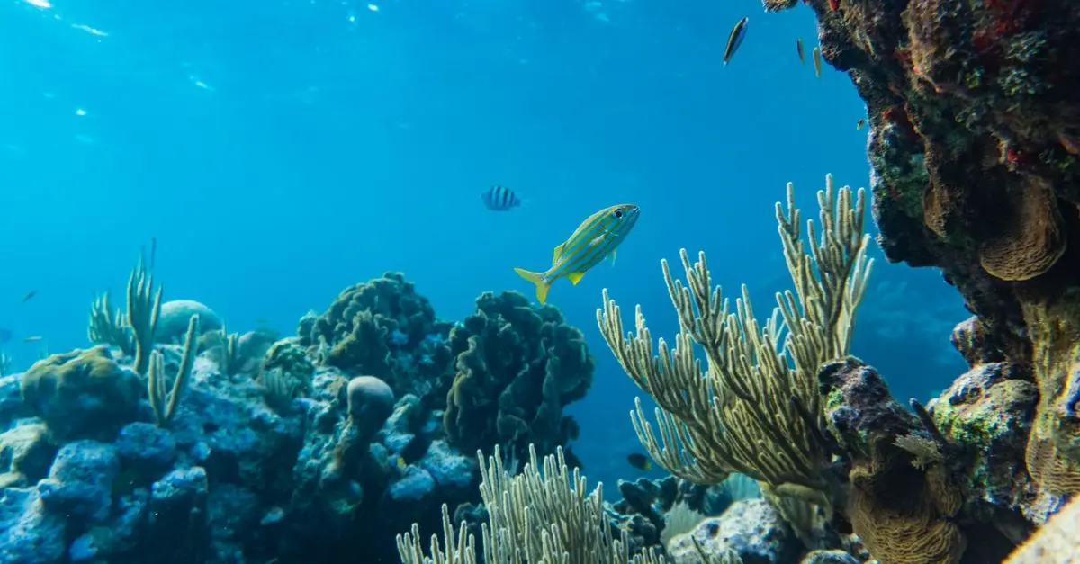 Les 10 Expériences de Voyage Uniques à Vivre Absolument