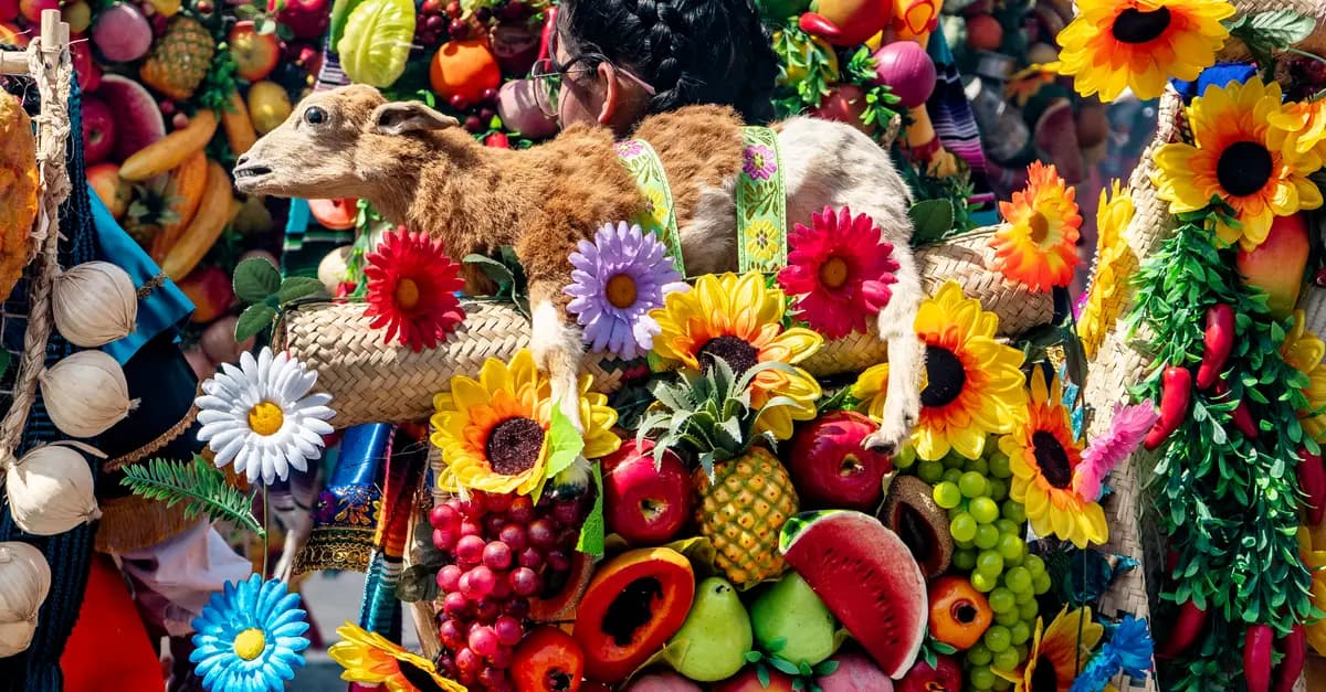 Comment Choisir un Voyage Unique qui Vous Correspond